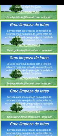 Limpeza de lote