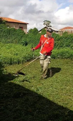 Jogamos veneno limpeza