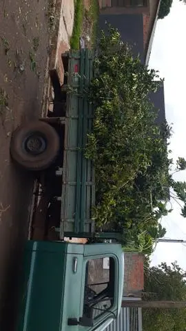 Limpeza geral, terreno, limpeza de entulho