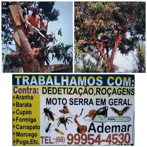 Faça ja a limpeza de seu quintal