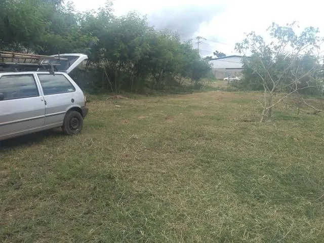 Limpeza e cercamento de lotes