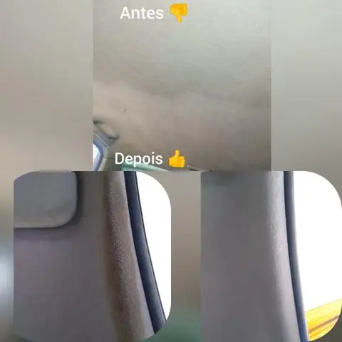 Lavagem a seco