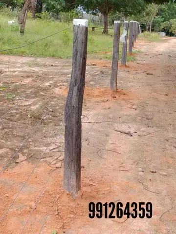 Cerqueiro profissional