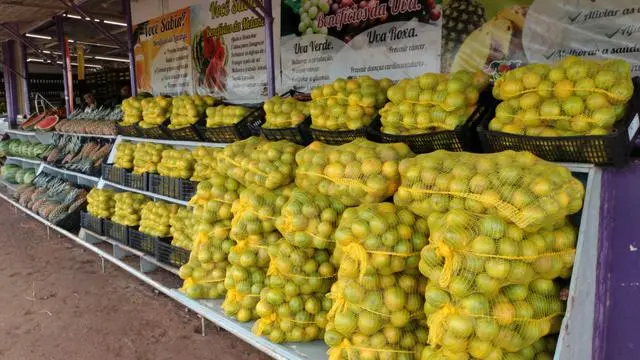 vendas de laranja no atacado e varejo