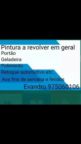 Evandro pintura à revalver