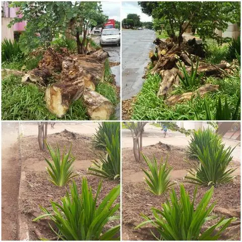 Frete, limpeza de terreno