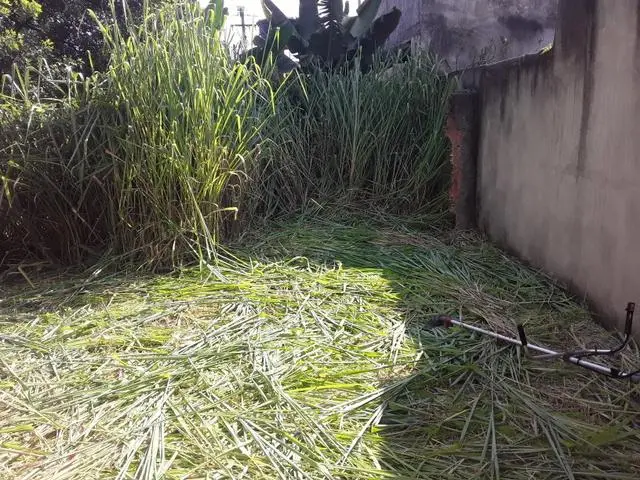 Limpeza de terrenos
