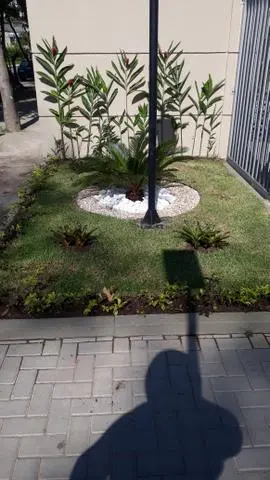 Jardineiro paisagista