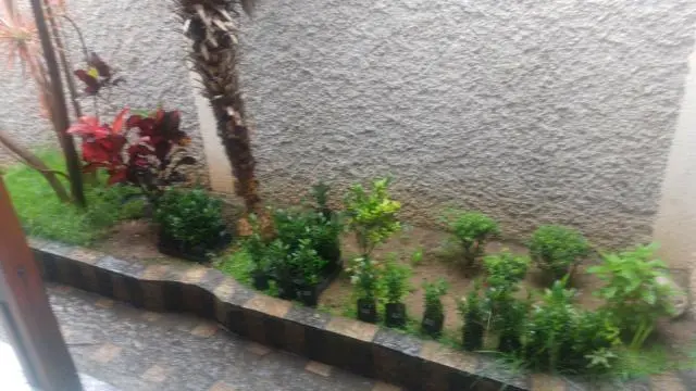 H.Y jardinagem