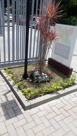 Jardineiro paisagista