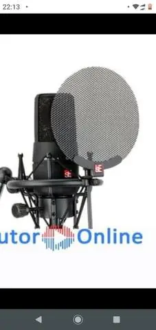 Locutor online