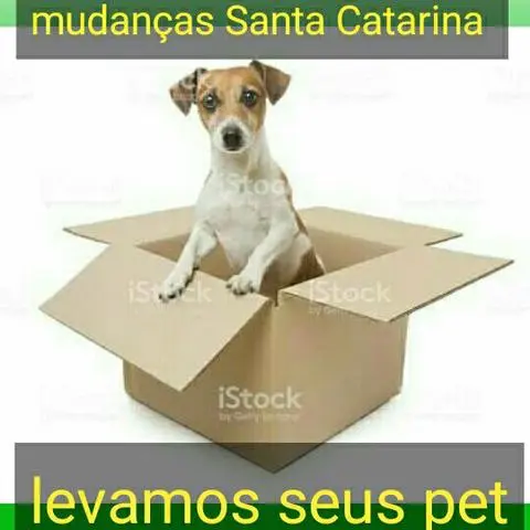 Mudanças fretes SC × RS preços imbatíveis