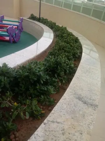 Paisagismo Fênix serviços Ltda