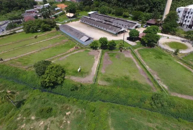 Hospedagem para cavalo