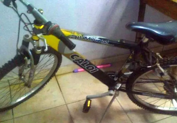 Bicicleta
