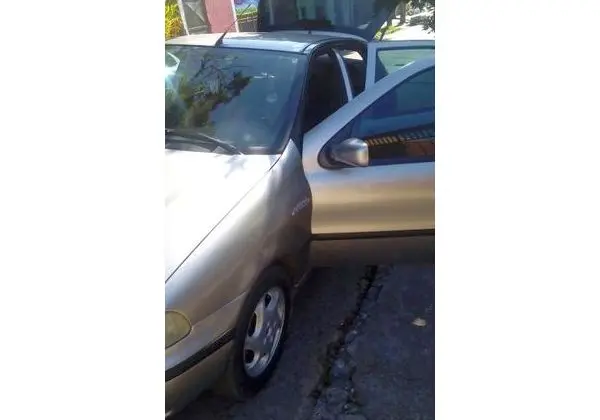 Palio 5 Estrela - 2000