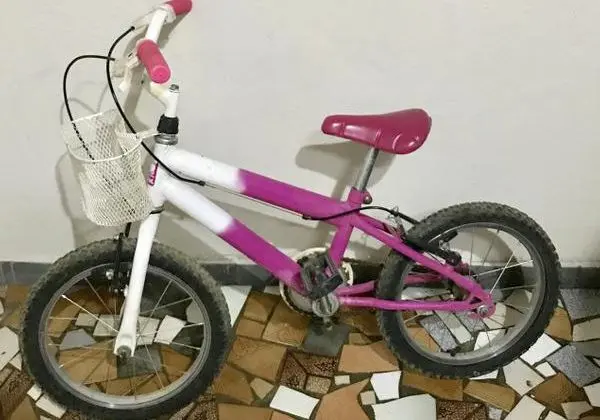 Lunna Stone Bike