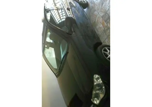 Palio economy - 2012