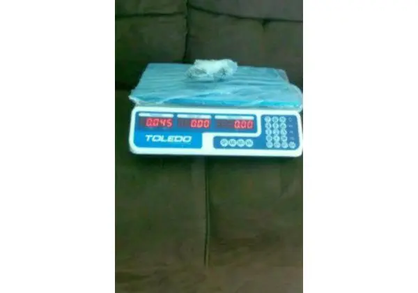 Balança Digital Toledo 40kg Nova
