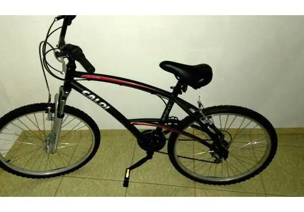 Bicicleta Caloi 100