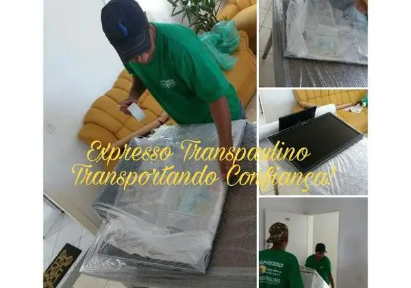 Mudanças fretes carretos