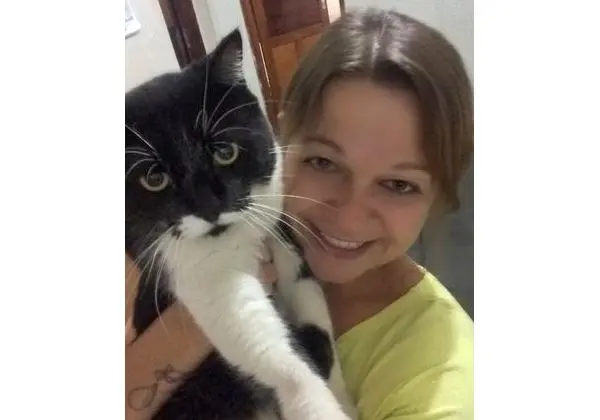 Pet sitter gato