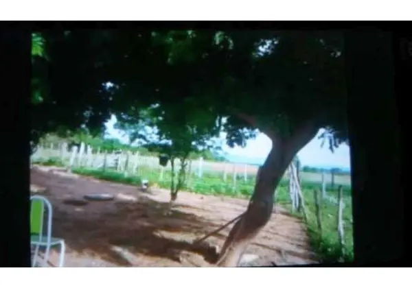 Sitio em pai pedro mg