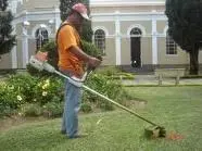 corte e poda de plantas, àrvore, jardim, grama sintètica