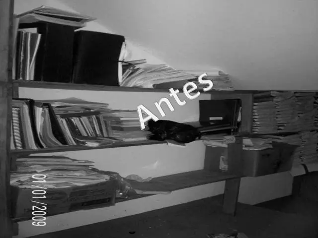 Organizo arquivos e bibliotecas