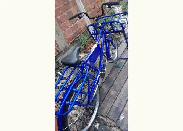 Biscicleta cargueira 500$