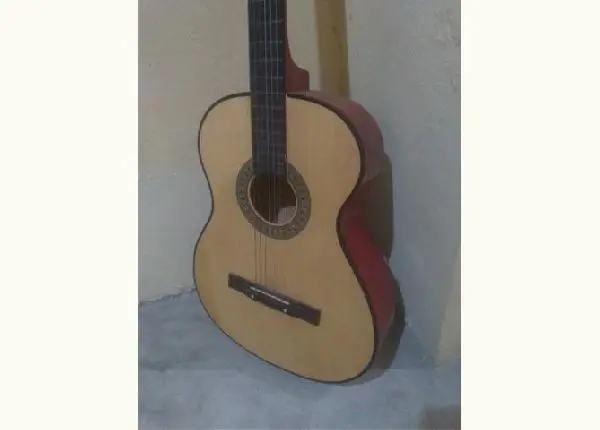 Vendo violão