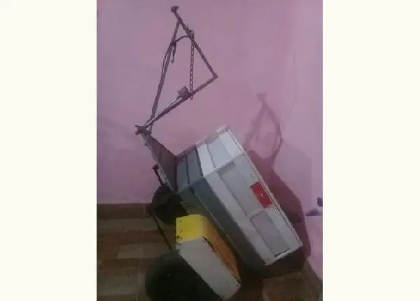 Carochinha