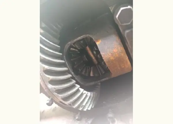 Dana 44 positivo