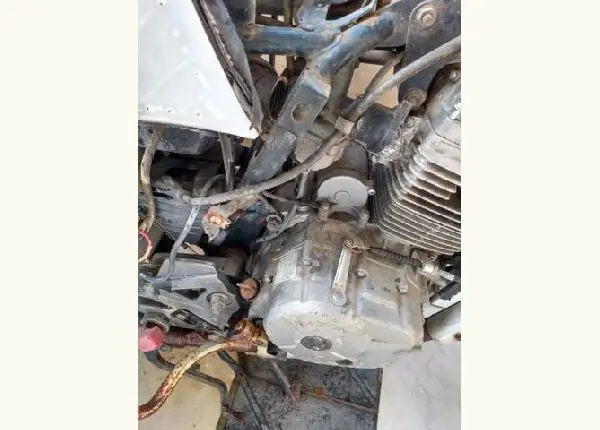 Vendo