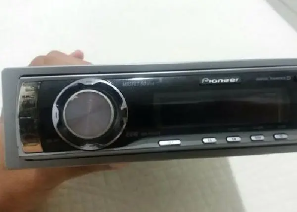 Pioneer golfinho