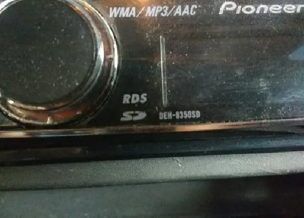 Cd pioneer golfinho