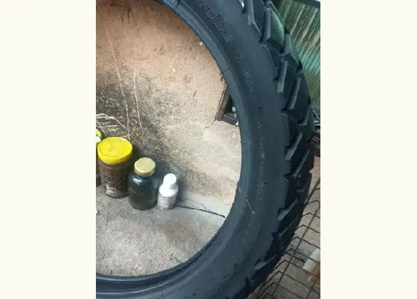 Pneu magion