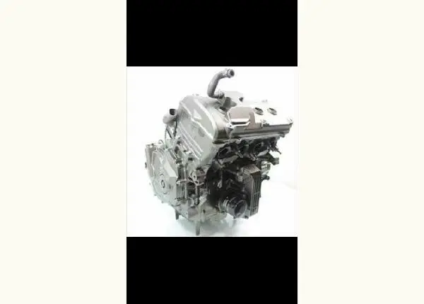 Motor hornet 600