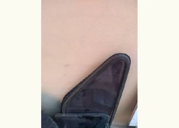 Vendo Para Quem Precisa