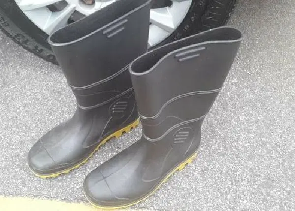 Bota PVC N° 37