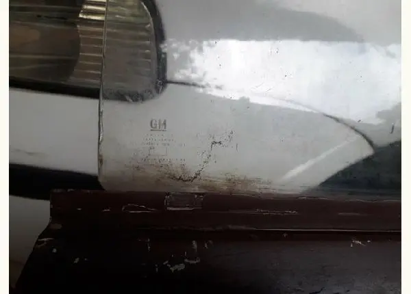 Opala