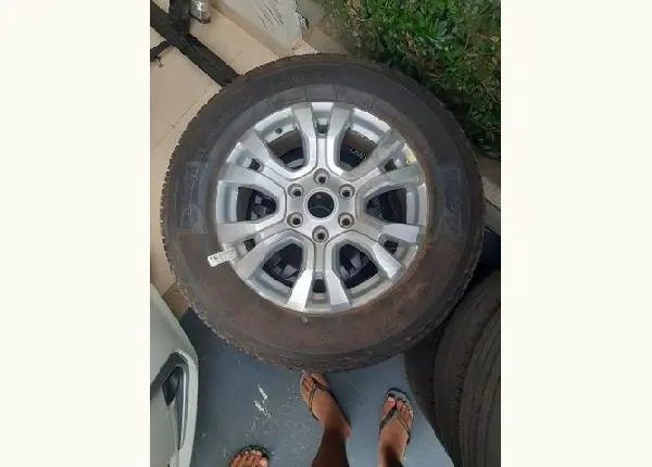 Roda ranger 2019