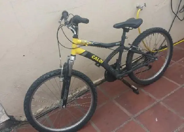 Vendo caloi