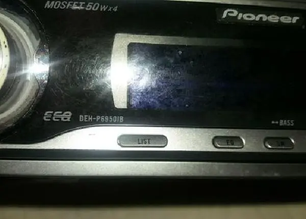 Pioneer golfinho
