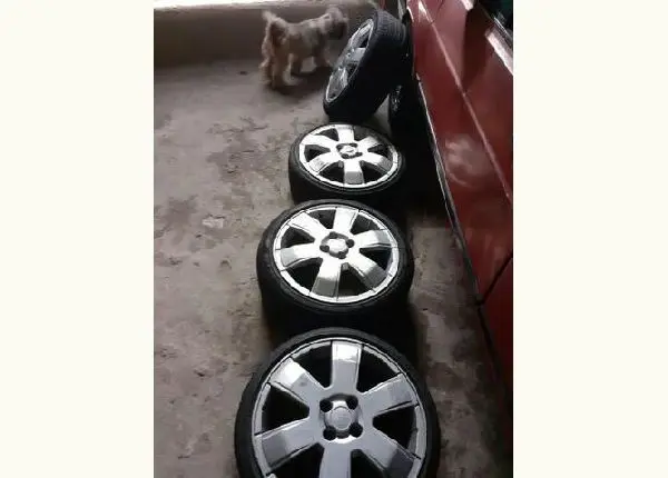 Rodas 17 gm