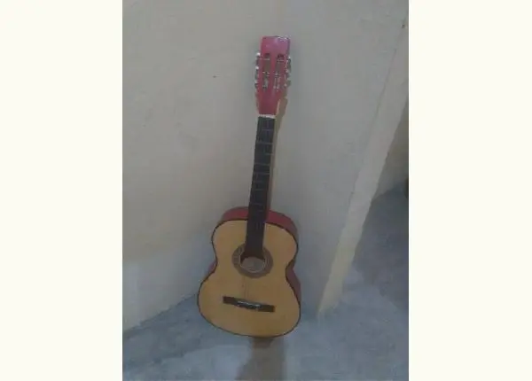 Vendo violão