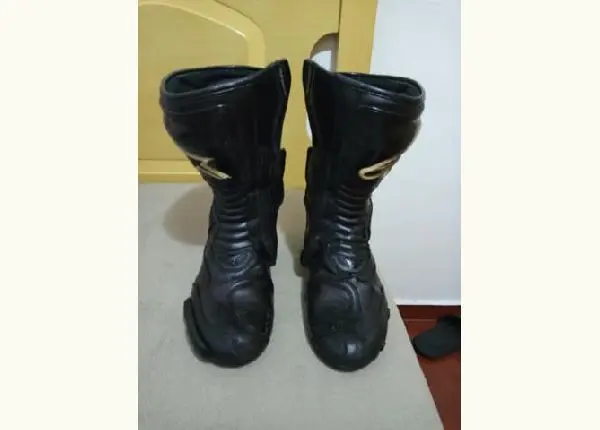 Bota