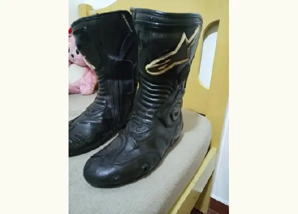 Bota