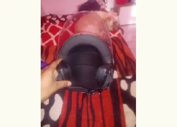 Pro Tork