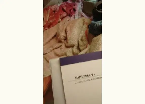 Manual